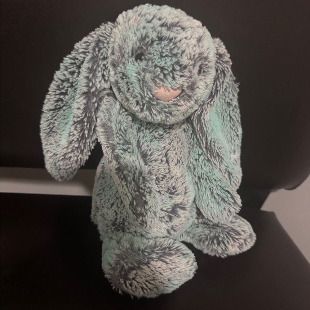 Rare jelly cat Gray and Mint Buny